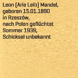 Leon (Arie Leib) Mandel, Geburtsdatum:: 15.01.1890, Geburtsort:: Rzeszów, Galizien (heute: Polen), Todesort:: unbekannt